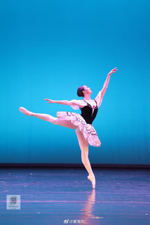 北京舞蹈学院芭蕾舞一级