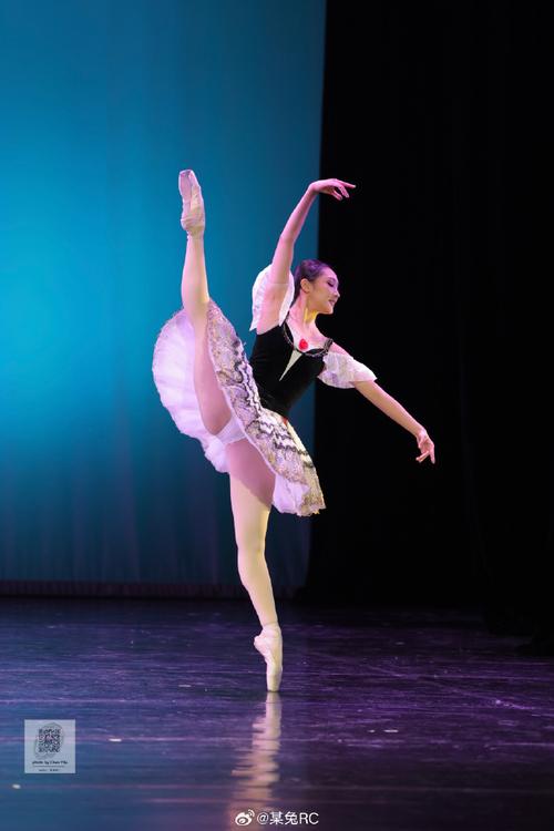 北京舞蹈学院芭蕾舞一级