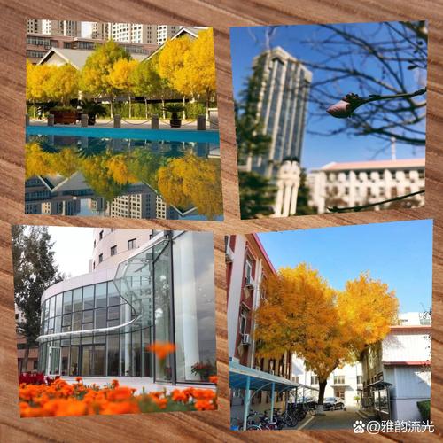 天津音乐学院校外培训部