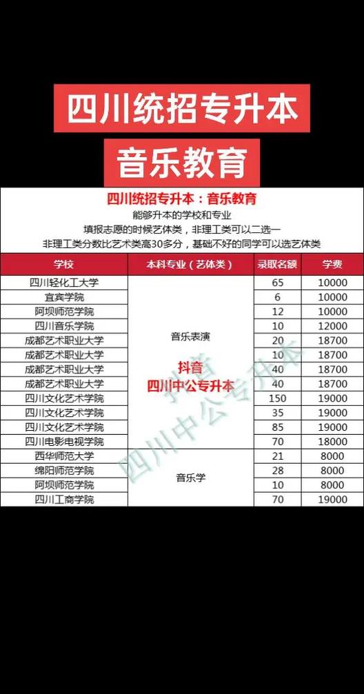 四川音乐教育专升本科目