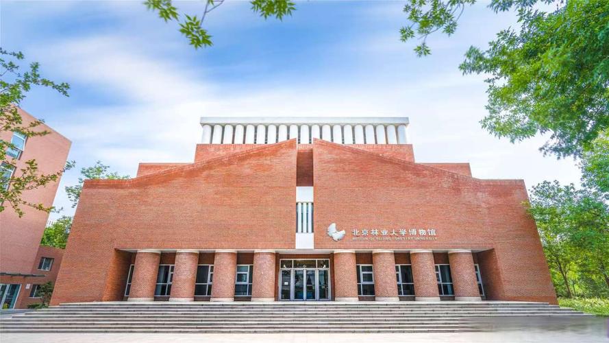 长春968美术培训基地