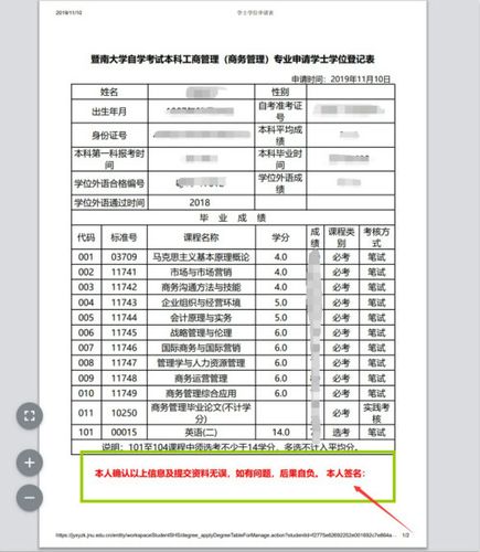 音乐学士学位申请表自述