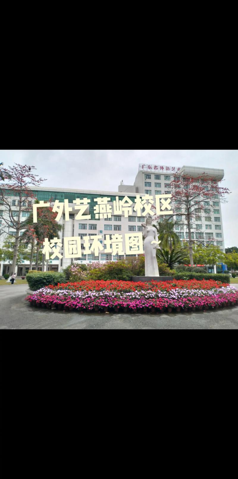 广外艺自主招生音乐教育