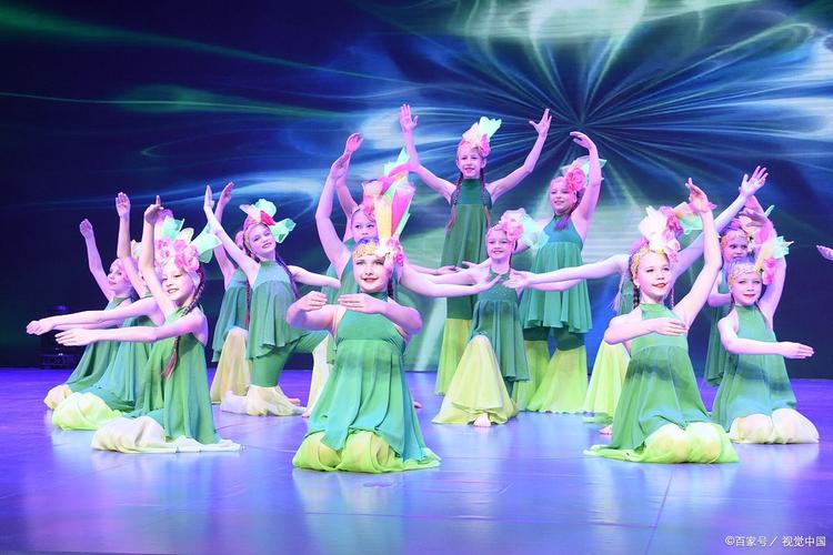 中职舞蹈表演报301