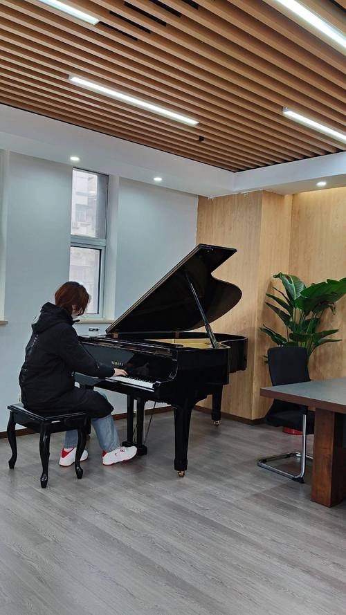 武汉音乐学院艺术培训部