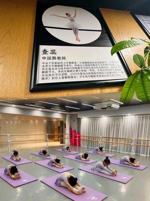 福州仓山舞蹈培训学校