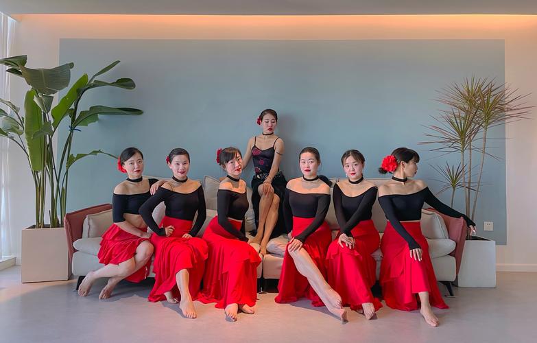 中国舞蹈教练培训视频