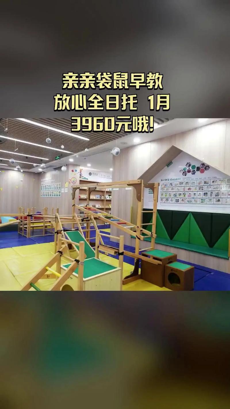 亲亲袋鼠国际早教音乐课