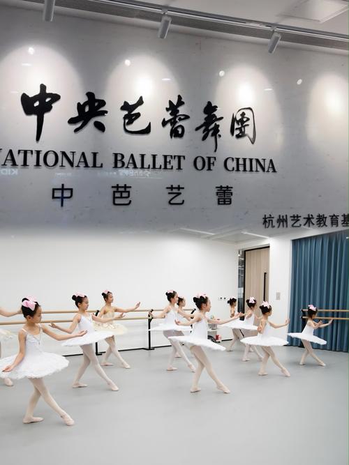 四川音乐学院 舞蹈培训