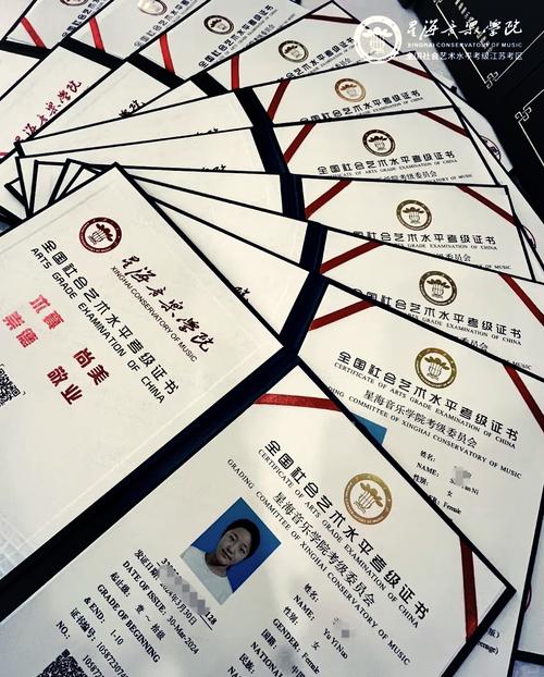 星海音乐学院专科怎么考