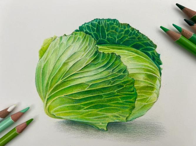 美术考试中的菜包是什么