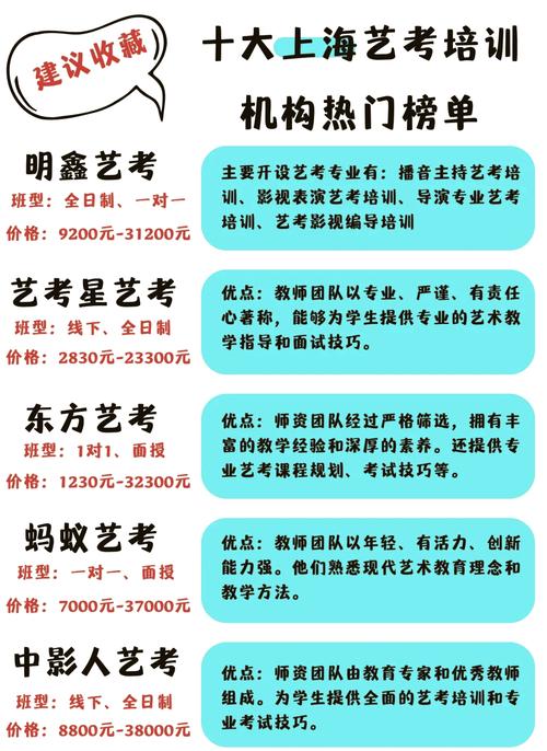 艺考培训机构与民办大学