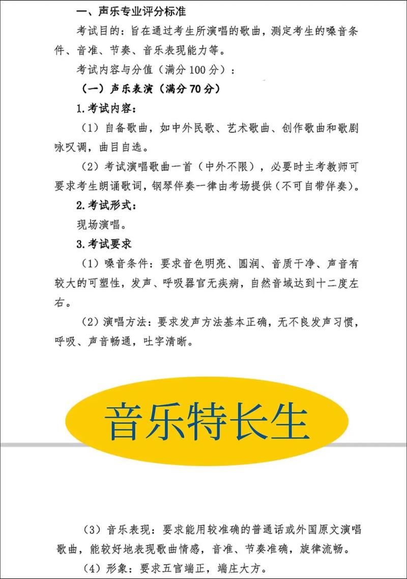 音乐特长生考高中多少分