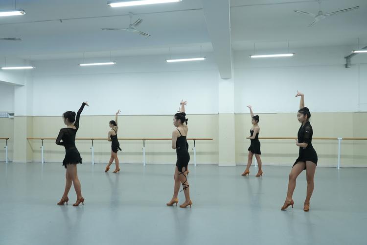 哈尔滨职业的舞蹈学校