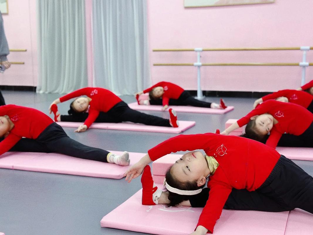 少儿舞蹈培训 红舞鞋