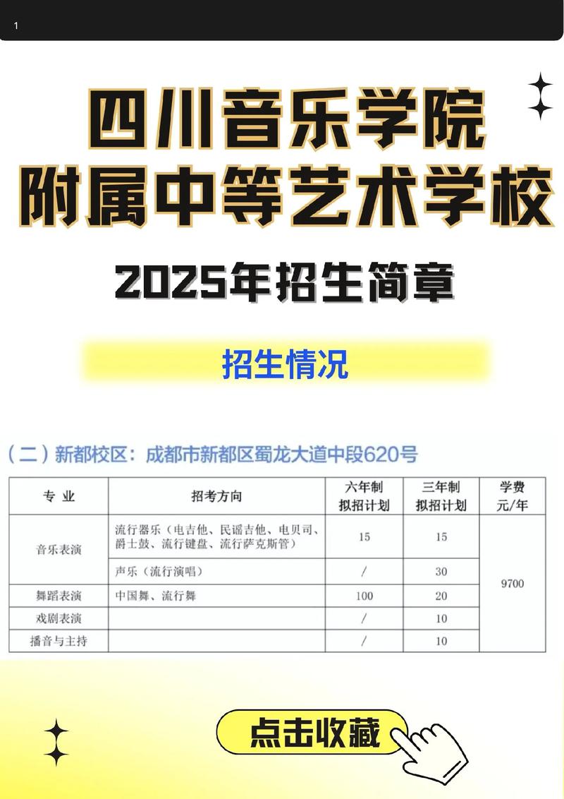 四川音乐学院 附中录取