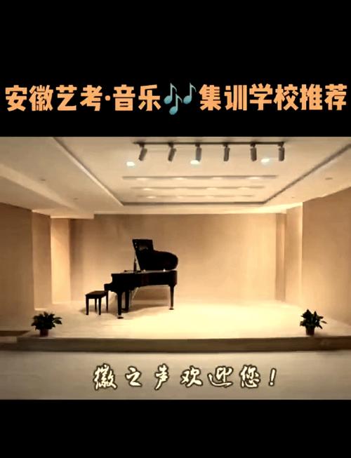 合肥有大型的艺考机构吗