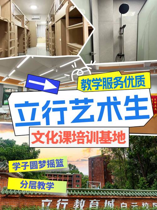 艺考培训学校会学些什么