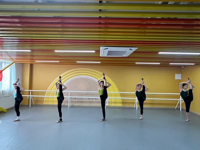 重庆艺考舞蹈寒假集训营