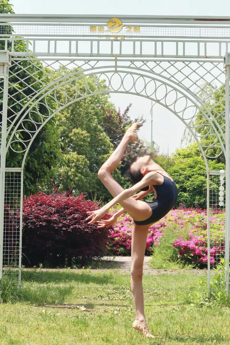 艺考舞蹈考试视频健美操