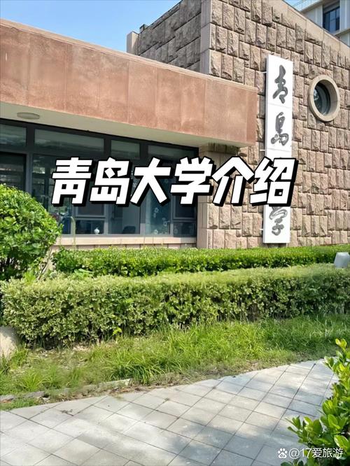青岛的音乐教育专业大学