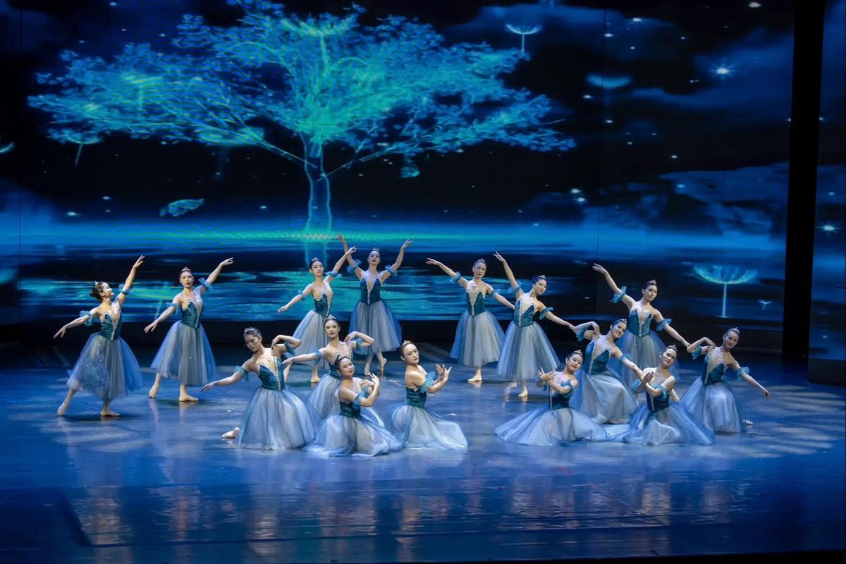 厦门舞蹈培训机构排名