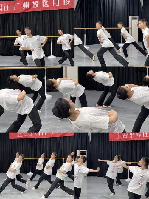 广州中国舞蹈培训机构