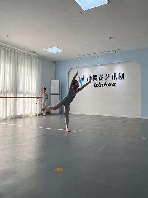 长沙南北艺校招聘舞蹈