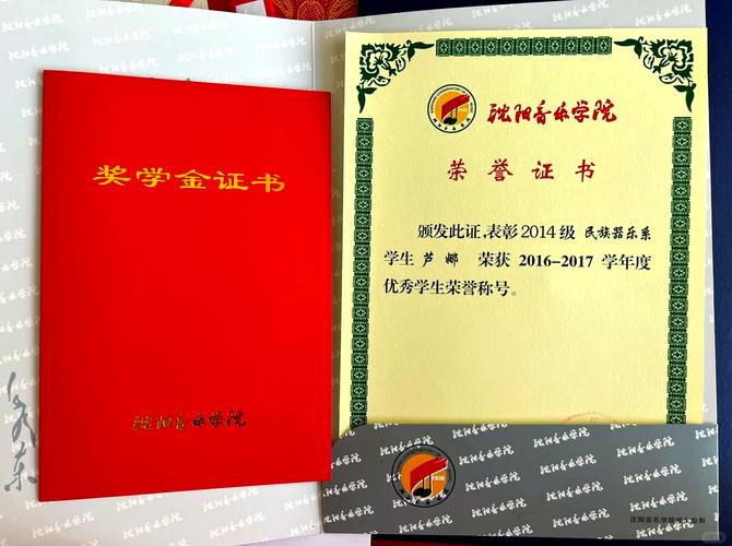 沈阳音乐学院附中奖学金