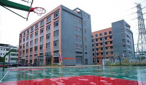 福建321美术培训学校