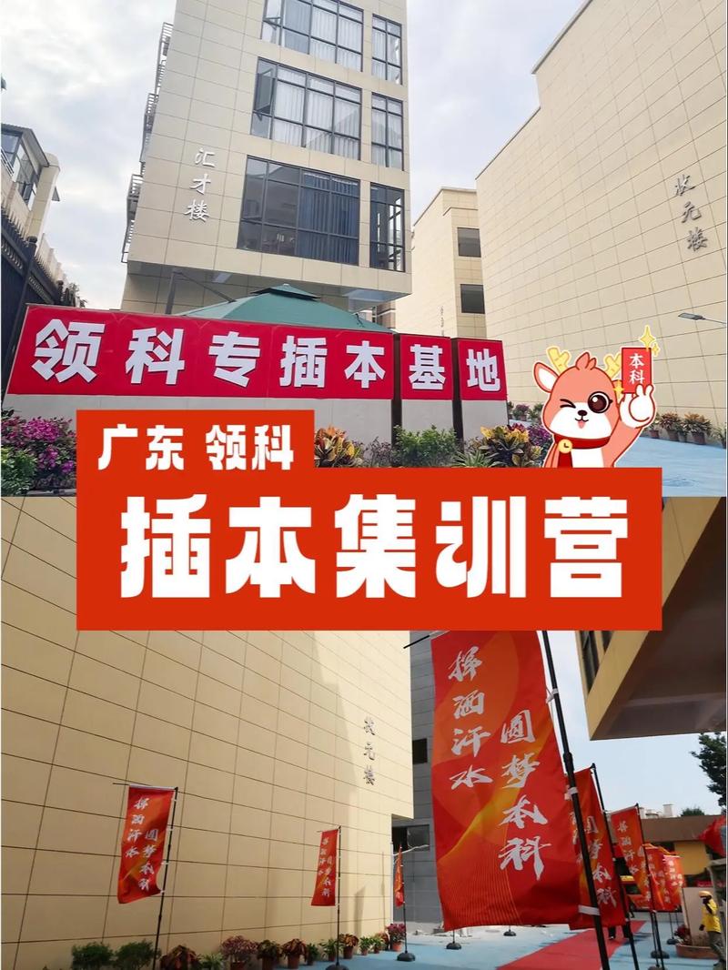 专插本文科可以跨音乐吗