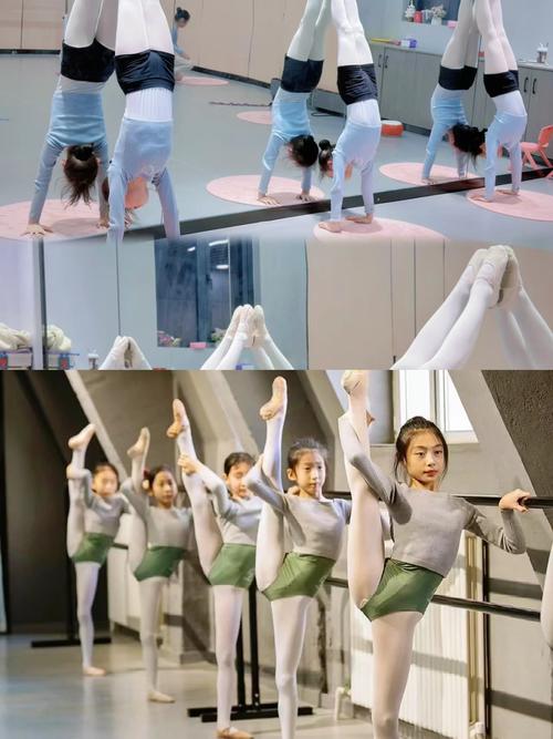 舞蹈 学校 中企动力