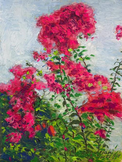 紫薇田园都市 培训美术