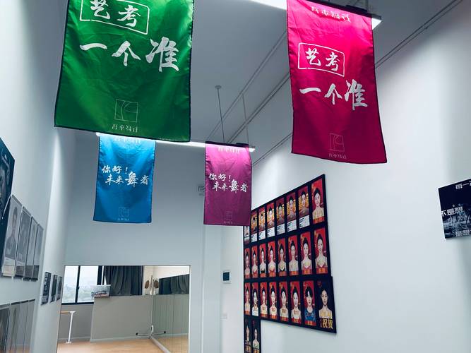 重庆舞蹈集训机构升学