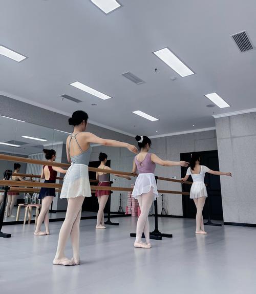 武汉舞蹈高考集中训练