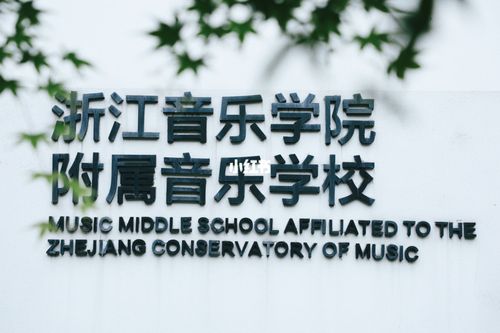 哪所音乐附中声乐教的好