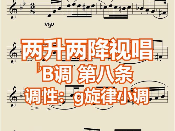 音乐小三门教学视频下载