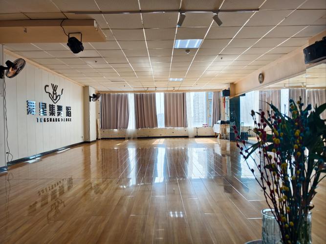 齐齐哈尔有什么舞蹈室