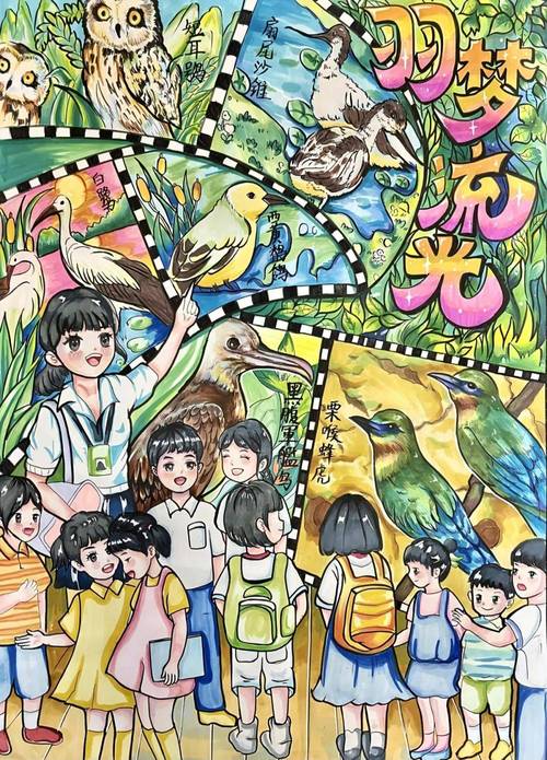 缤纷鸟美术vs青苗美术