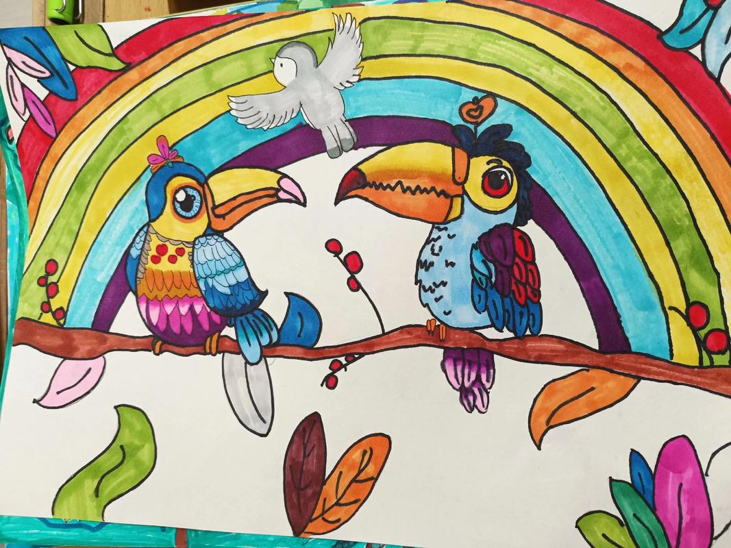 缤纷鸟美术vs青苗美术