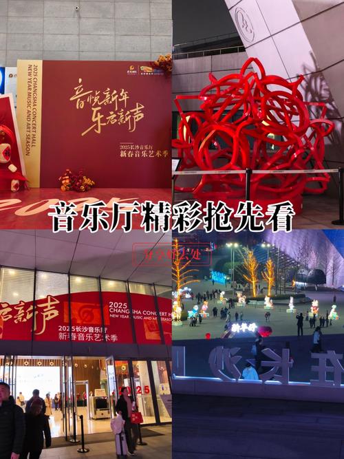 长沙艺术音乐公司怎么样