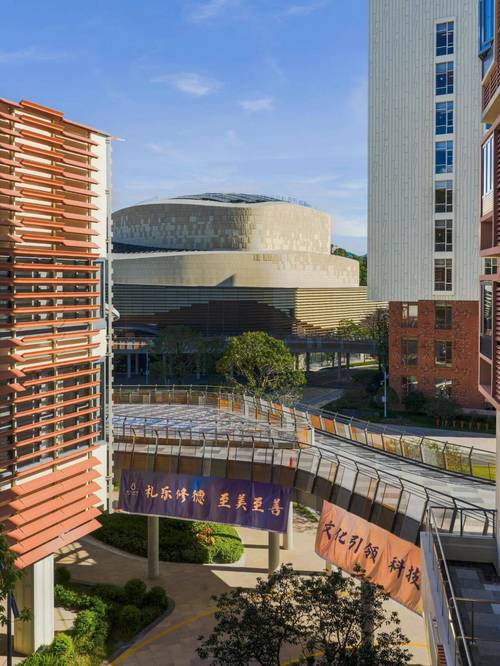 深圳音乐学院在哪里下载