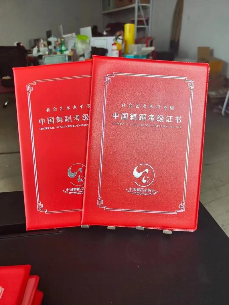 少儿舞蹈考级成绩查询