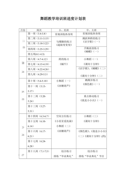 对外舞蹈培训机构计划