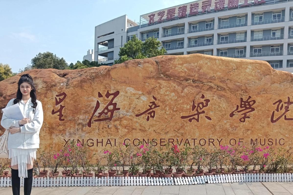 应该音乐学院可以自考吗