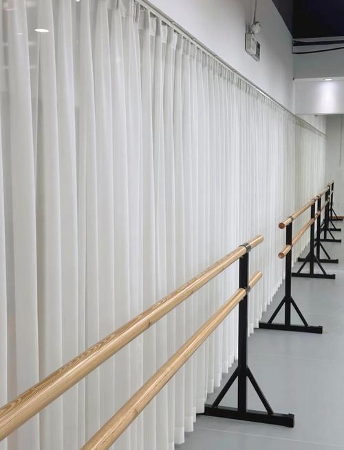 惠州国际舞蹈培训机构