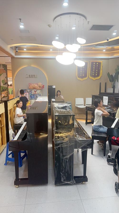 荆州哪里成人音乐培训班