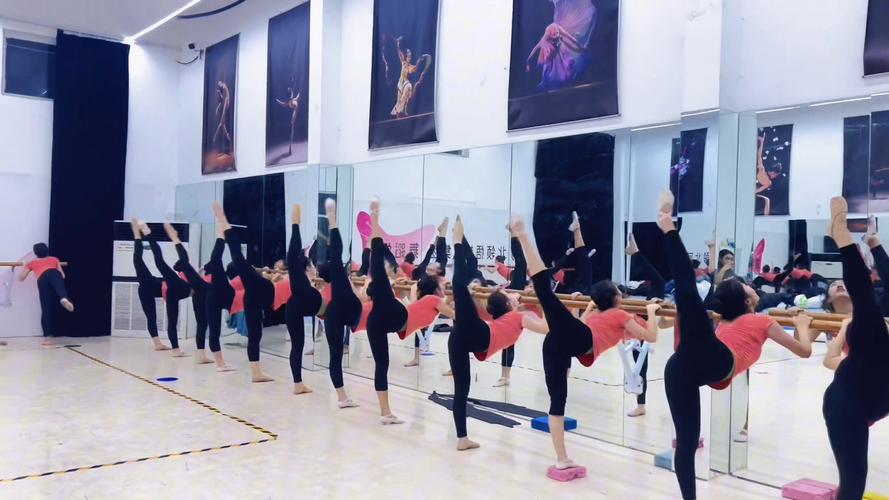 秦皇岛艺考培训学校舞蹈