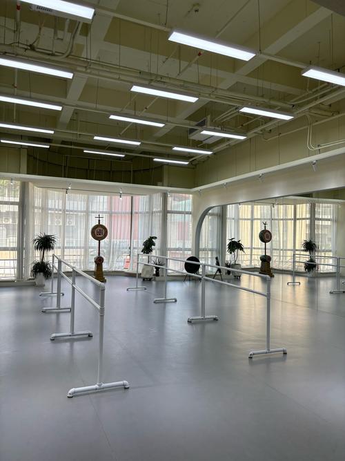 成都新都舞蹈培训学校