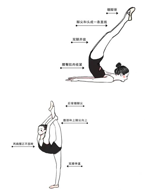 高考美术舞蹈视频教程